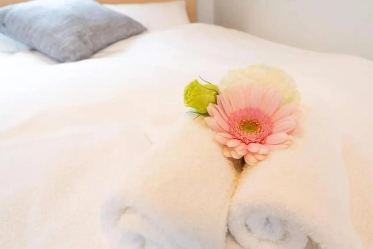 ラフィット両国 Apartment Tokyo 0*,  Japan